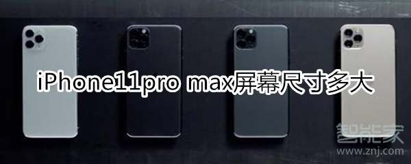 iPhone11pro max屏幕尺寸多大