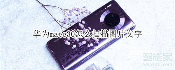 华为mate30怎么扫描图片文字