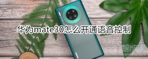华为mate30怎么开通语音控制