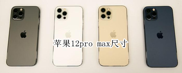 苹果12pro max尺寸