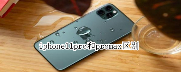 iphone11pro和promax区别