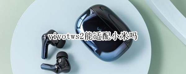 vivotws2能适配小米吗