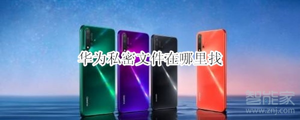 华为私密文件在哪里找