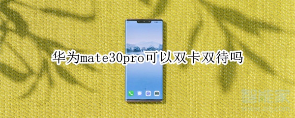 华为mate30pro可以双卡双待吗