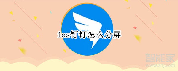 ios钉钉怎么分屏