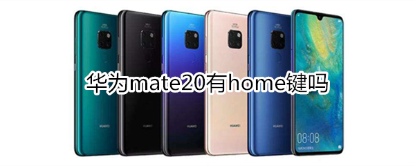 华为mate20有home键吗