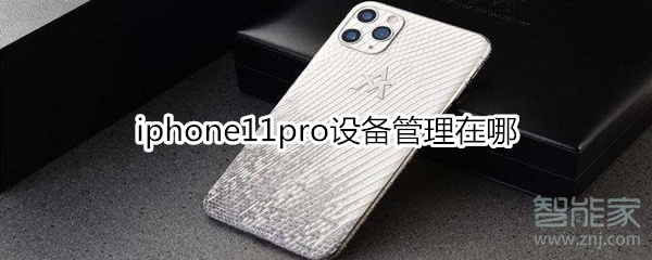 iphone11pro设备管理在哪