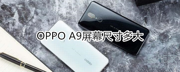 oppoa9屏幕尺寸