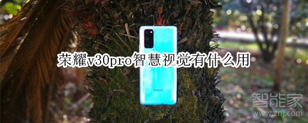 荣耀v30pro智慧视觉有什么用