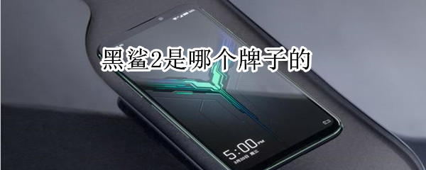 黑鲨2是哪个牌子的