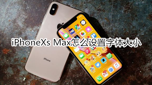 iPhoneXs Max怎么设置字体大小