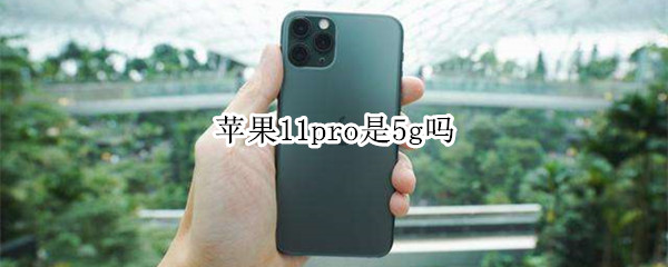 苹果11pro是5g吗