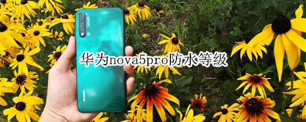 华为nova5pro防水等级