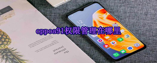 oppoa91权限管理在哪里