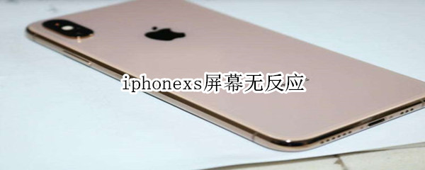 iphonexs屏幕无反应