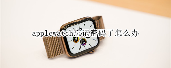 applewatch忘记密码了怎么办