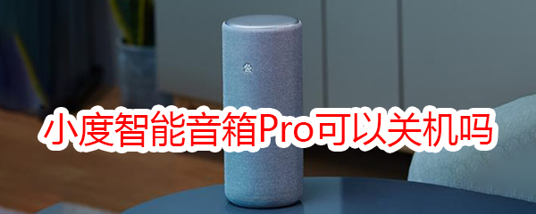 小度智能音箱Pro可以关机吗