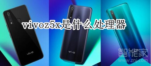 vivoz5x是什么处理器