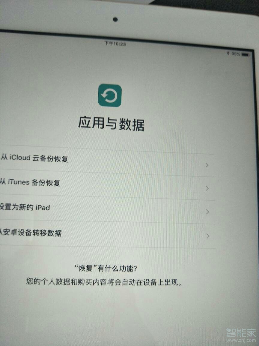 ipad应用与数据选哪个