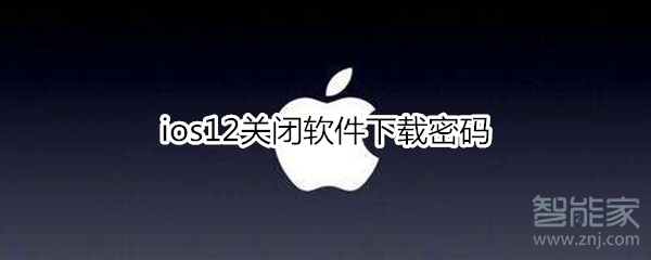 ios12关闭软件下载密码