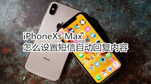 iPhoneXs Max怎么设置短信自动回复内容