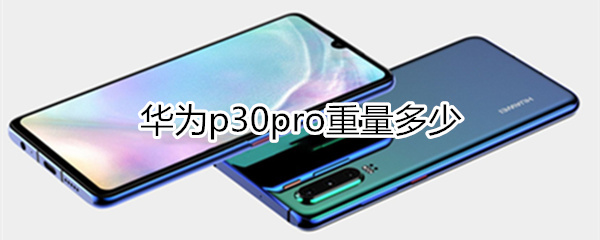 华为p30pro重量