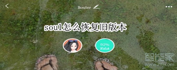 soul怎么恢复旧版本