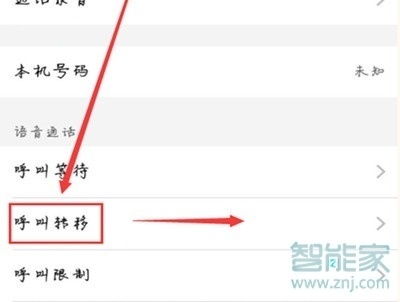 vivoz5怎么设置呼叫转移