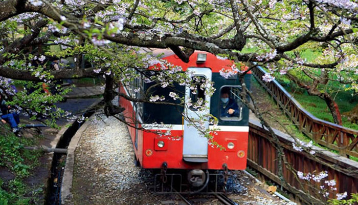 阿里山在哪个省  阿里山在哪