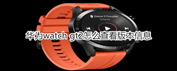 华为watch gt2怎么查看版本信息