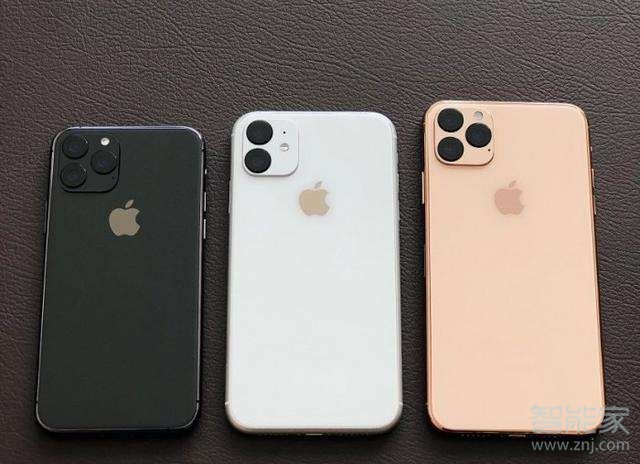 苹果11r支持5g吗