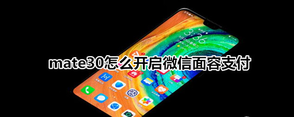 mate30怎么开启微信面容支付