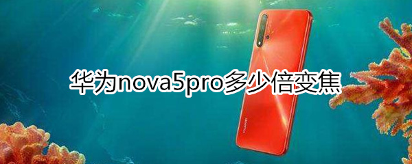 华为nova5pro多少倍变焦