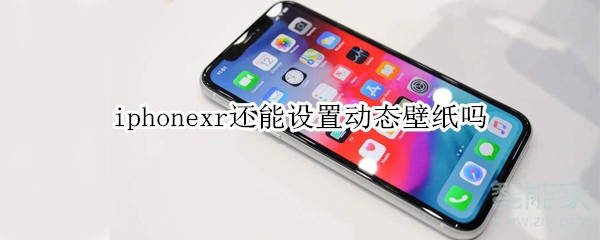 iphonexr还能设置动态壁纸吗