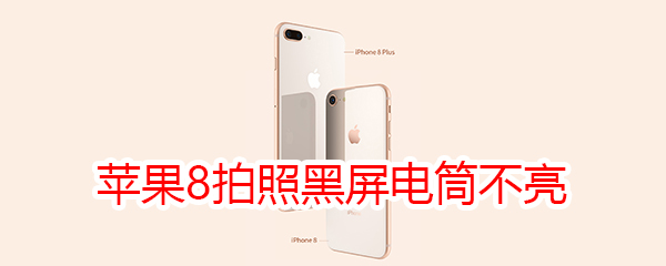 苹果8拍照黑屏电筒不亮