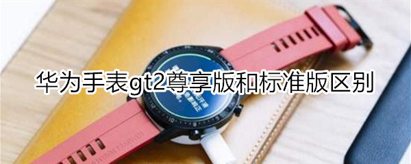 华为gt2尊享版和标准版区别