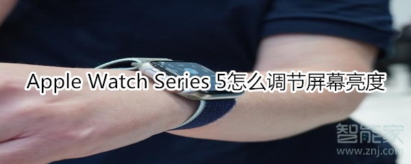 Apple Watch Series 5怎么调节屏幕亮度