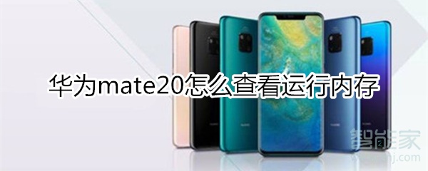 mate20显示运行内存