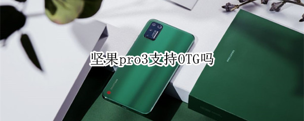 坚果pro3支持OTG吗