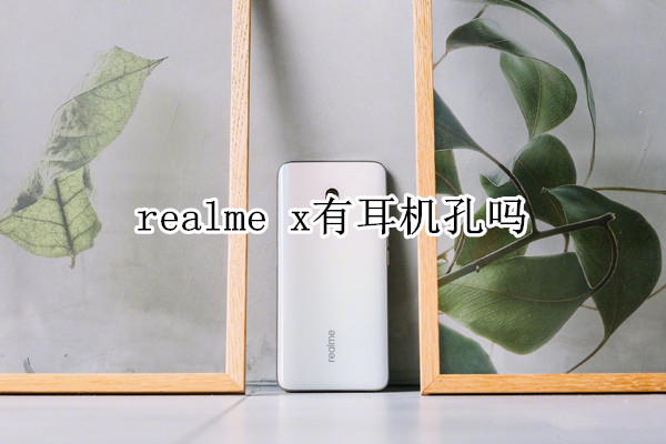 realme x有耳机孔吗