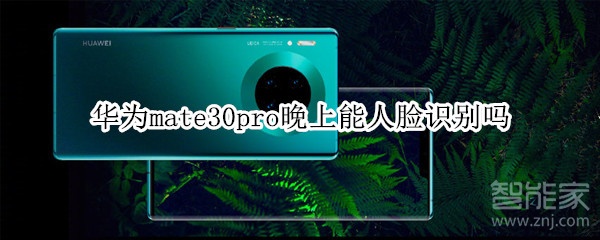 华为mate30pro晚上能人脸识别吗