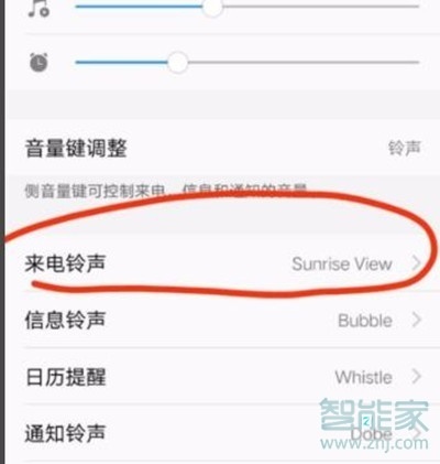 vivoy3怎么更换来电铃声