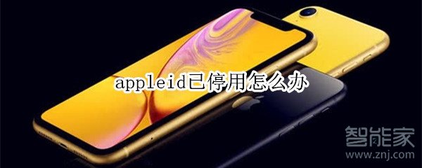 appleid已停用怎么办