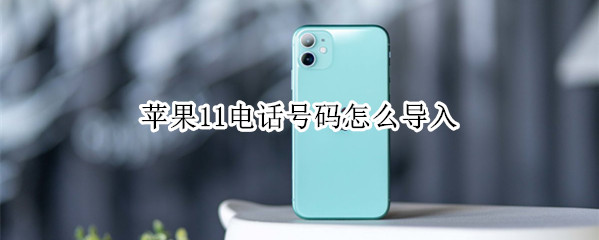 苹果11电话号码怎么导入