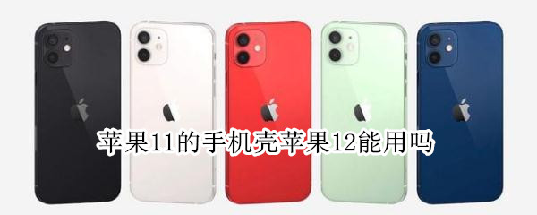 苹果11的手机壳苹果12能用吗