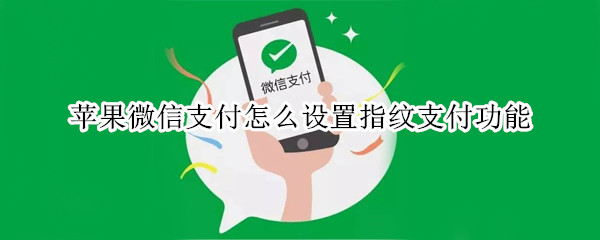 苹果微信支付怎么设置指纹支付功能