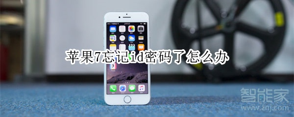 苹果7忘记id密码了怎么办