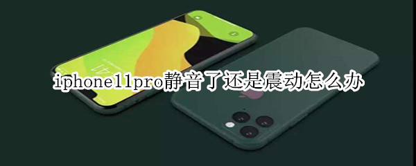 iphone11pro静音了还是震动怎么办