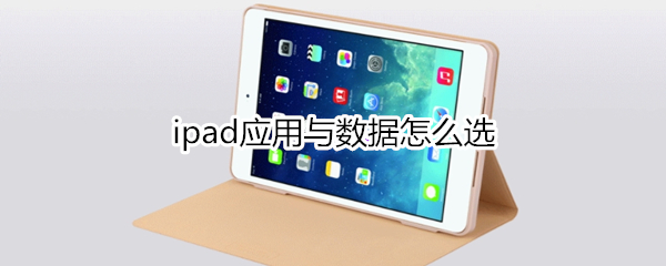 ipad应用与数据怎么选