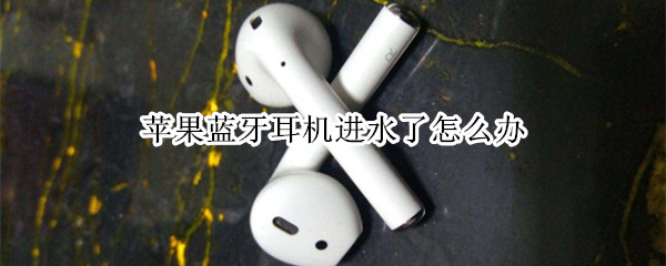 苹果蓝牙耳机进水了怎么办